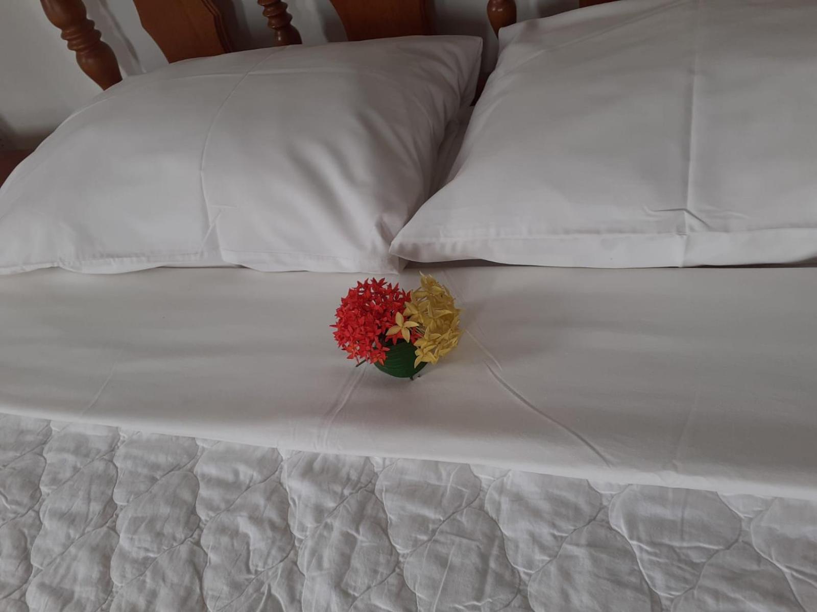 Gigi'S Self Catering Apartment Port Glaud Εξωτερικό φωτογραφία