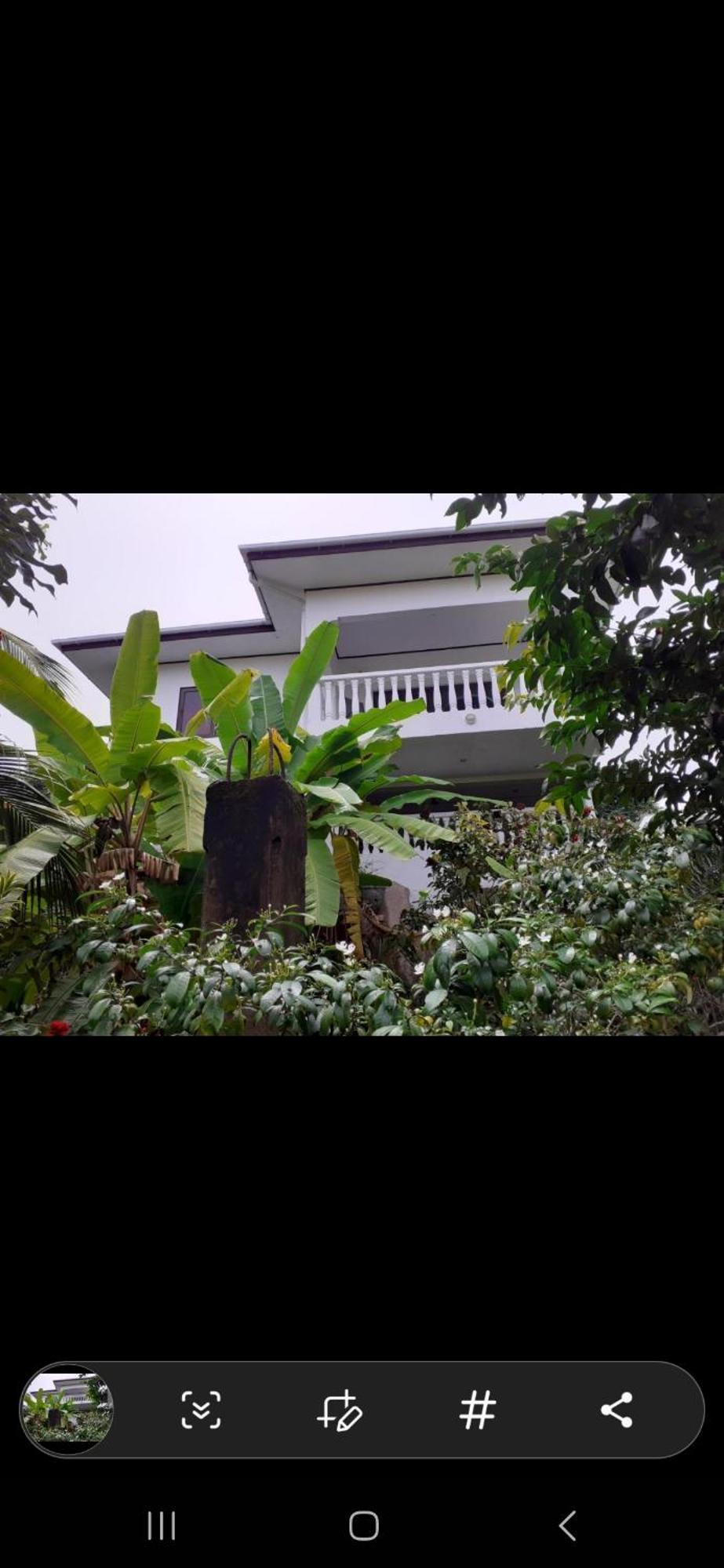 Gigi'S Self Catering Apartment Port Glaud Εξωτερικό φωτογραφία